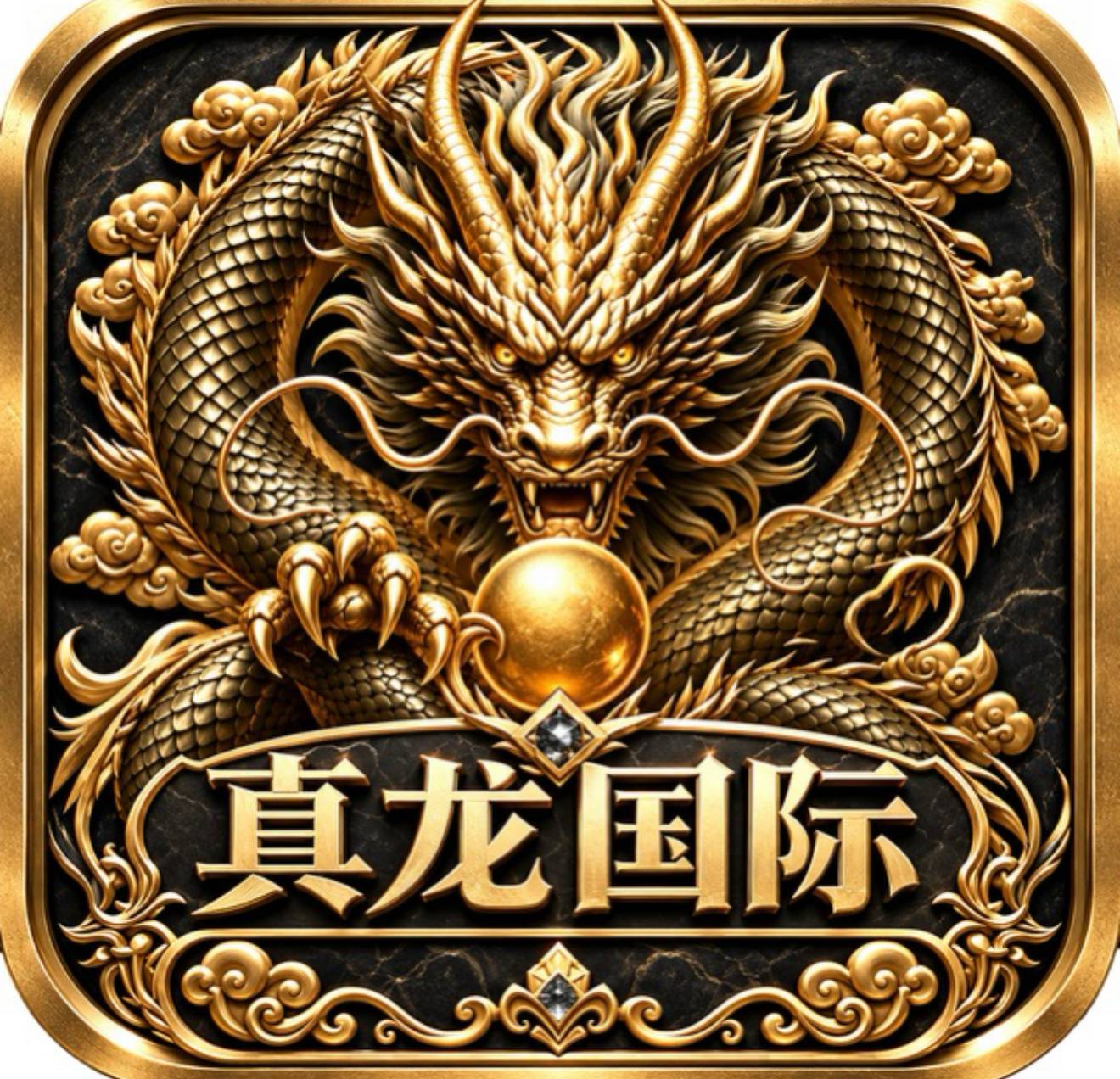 真龙国际
